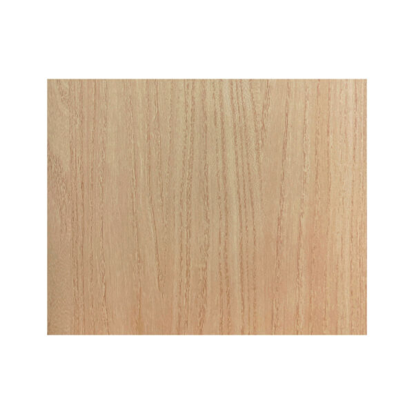 ECP-WD01