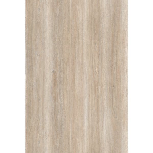 ECP-M025