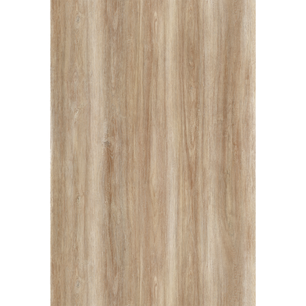 ECP-M028