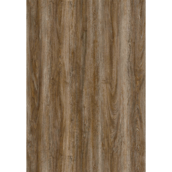 ECP-M054