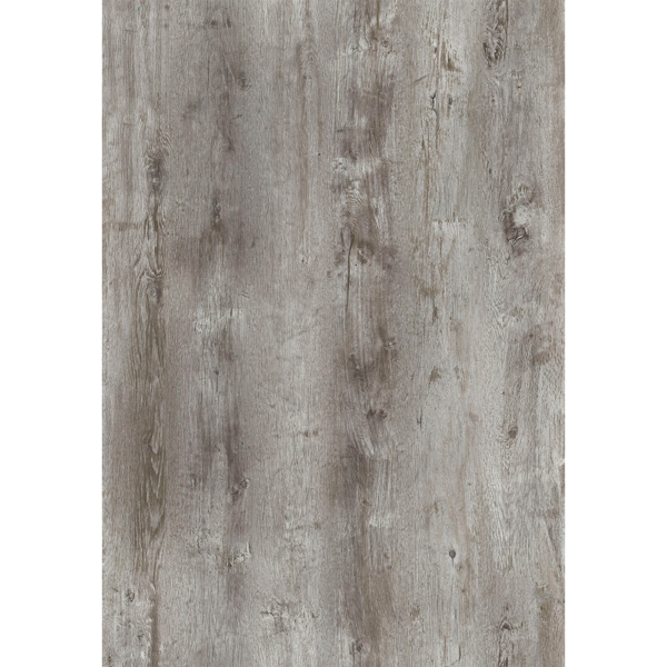 ECP-M058