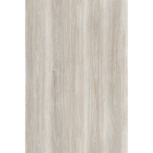ECP-M026