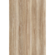 ECP-M028